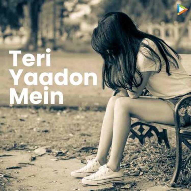 Teri Yaadon Mein