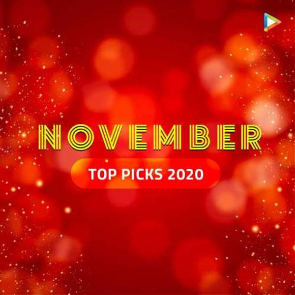 November Top Picks 2020 - Gujarati-hover