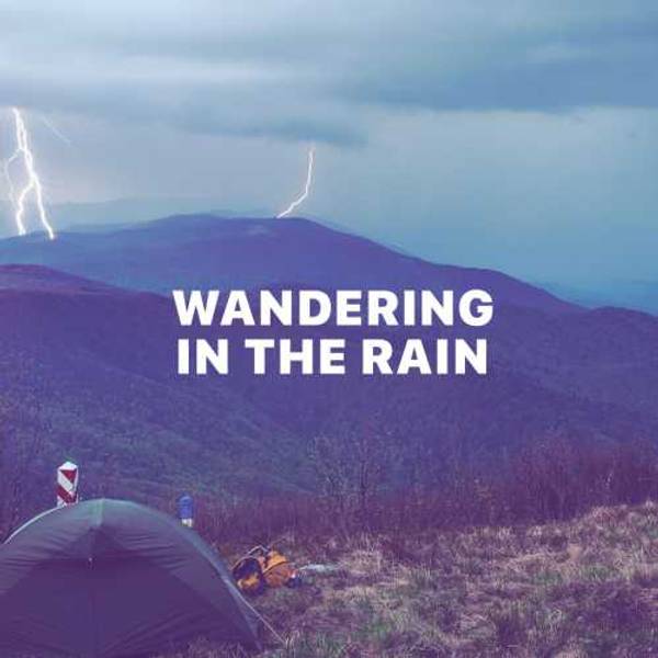 Wandering In The Rain