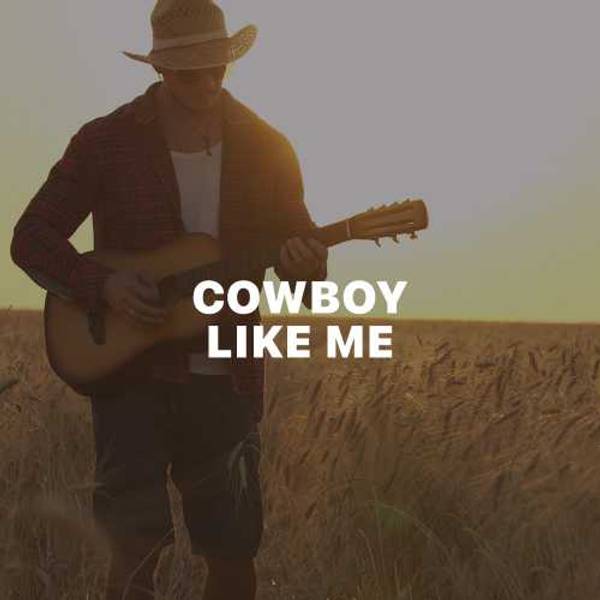 Cowboy Like Me-hover