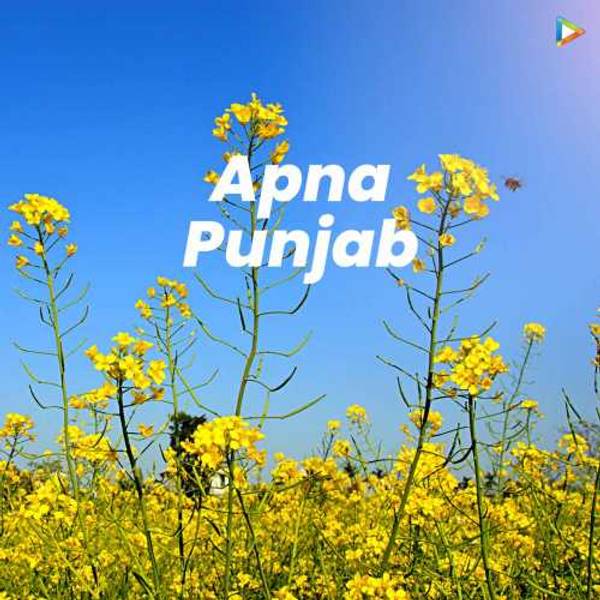 Apna Punjab