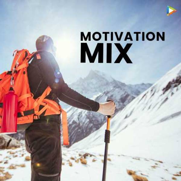 Motivation Mix