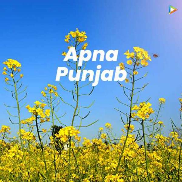 Apna Punjab-hover