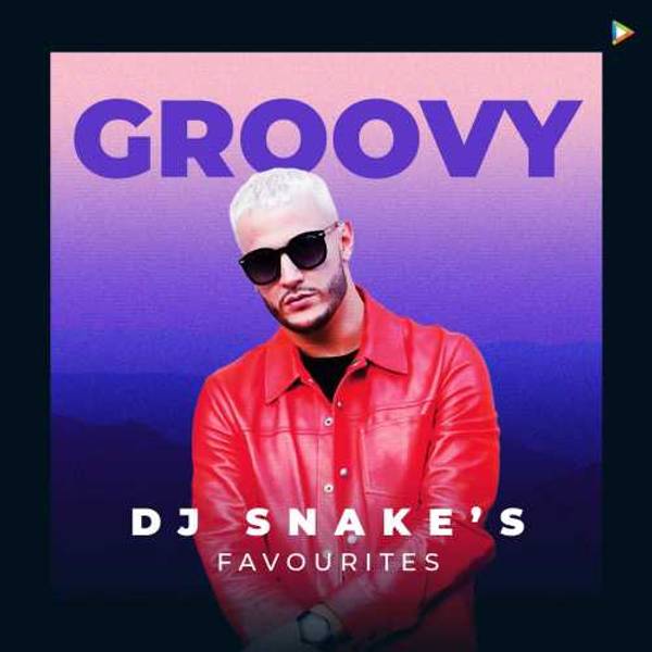 Dj Snake's Favourites- Groovy